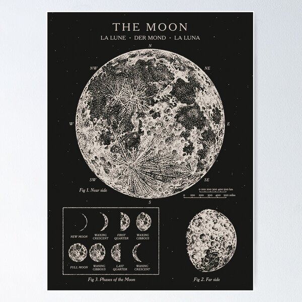 Moon Phases Vintage Poster Poster