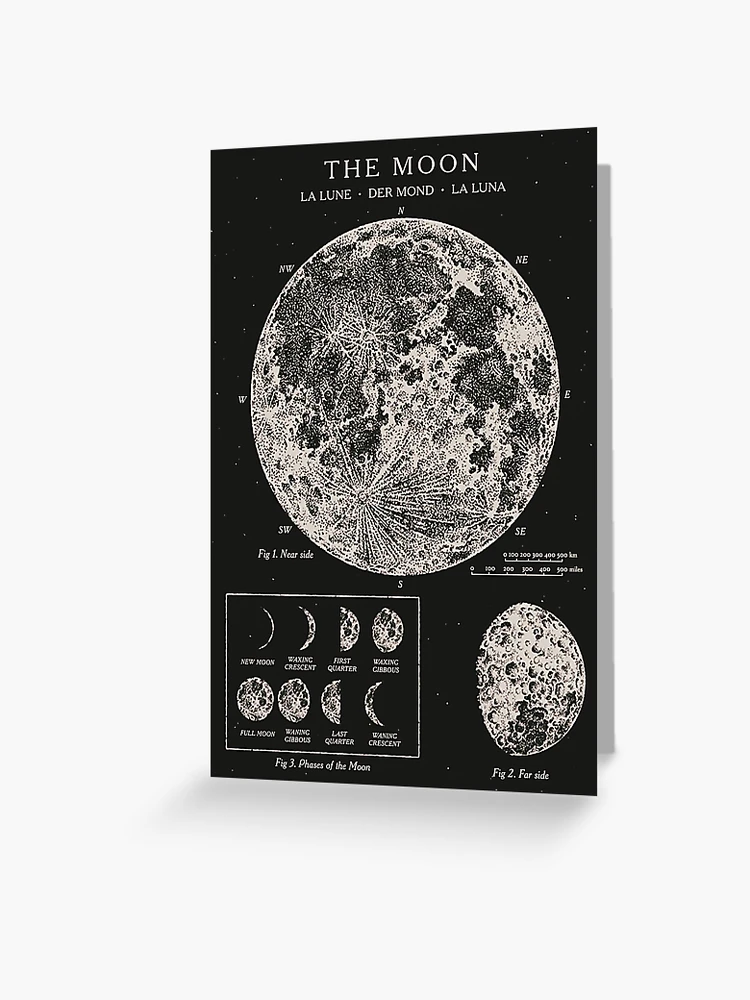 papergc,500x,w,f8f8f8-pad,