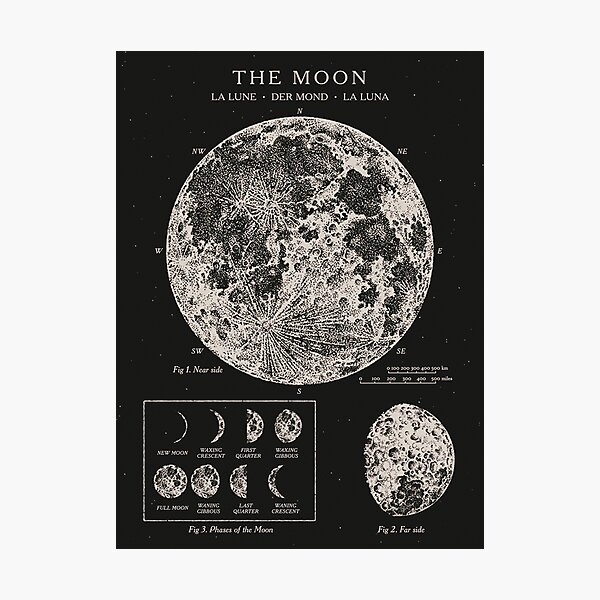 The Moon Journal - DragonSpace Gift Shop
