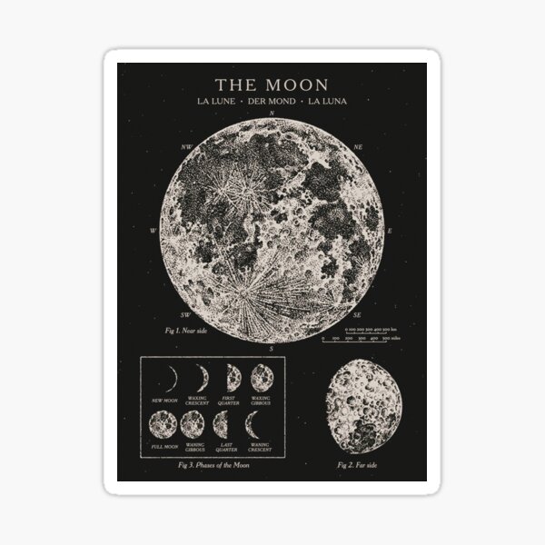 Moon Phases Merch & Gifts for Sale