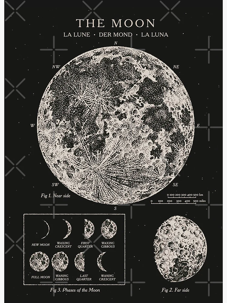 Moon Phases Vintage Poster