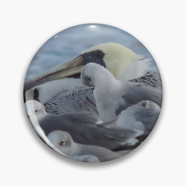 Item preview, Mr. Pelican and friends  designed and sold by Jmb67.