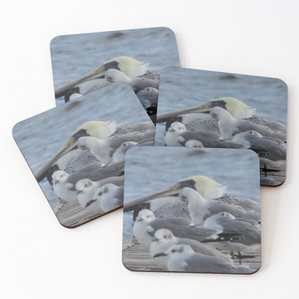 Item preview, Mr. Pelican and friends  designed and sold by Jmb67.