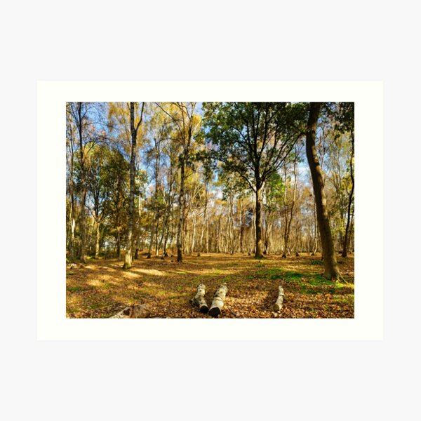 Art Print