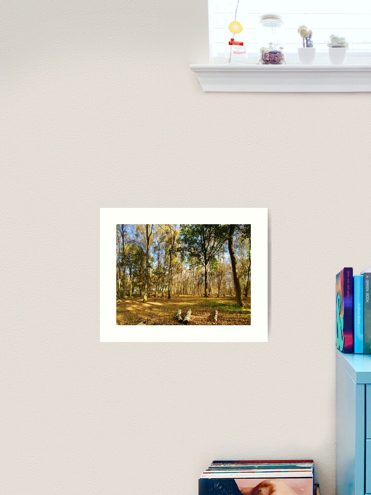 Thumbnail 2 of 3, Art Print, Autumn Glade, Skipwith Common designed and sold by sjbowen.
