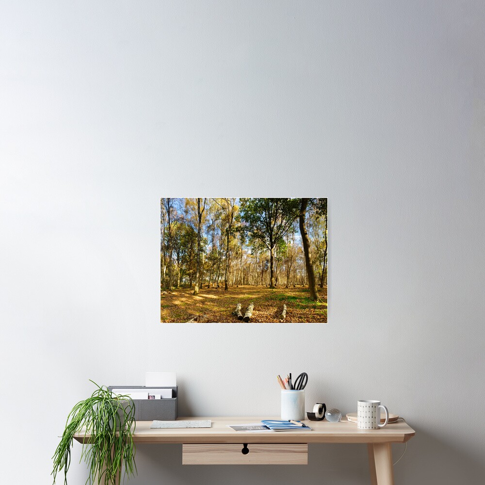 Item preview, Poster designed and sold by sjbowen.