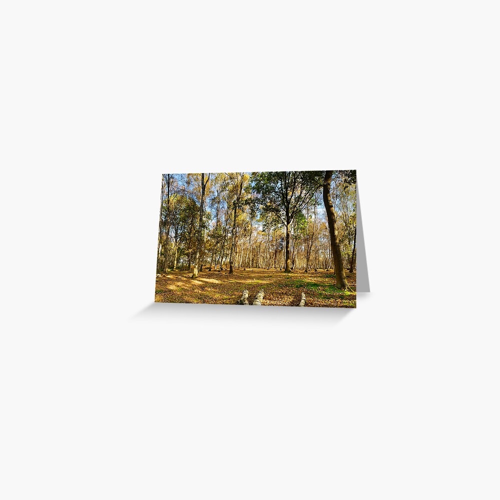 Item preview, Greeting Card designed and sold by sjbowen.