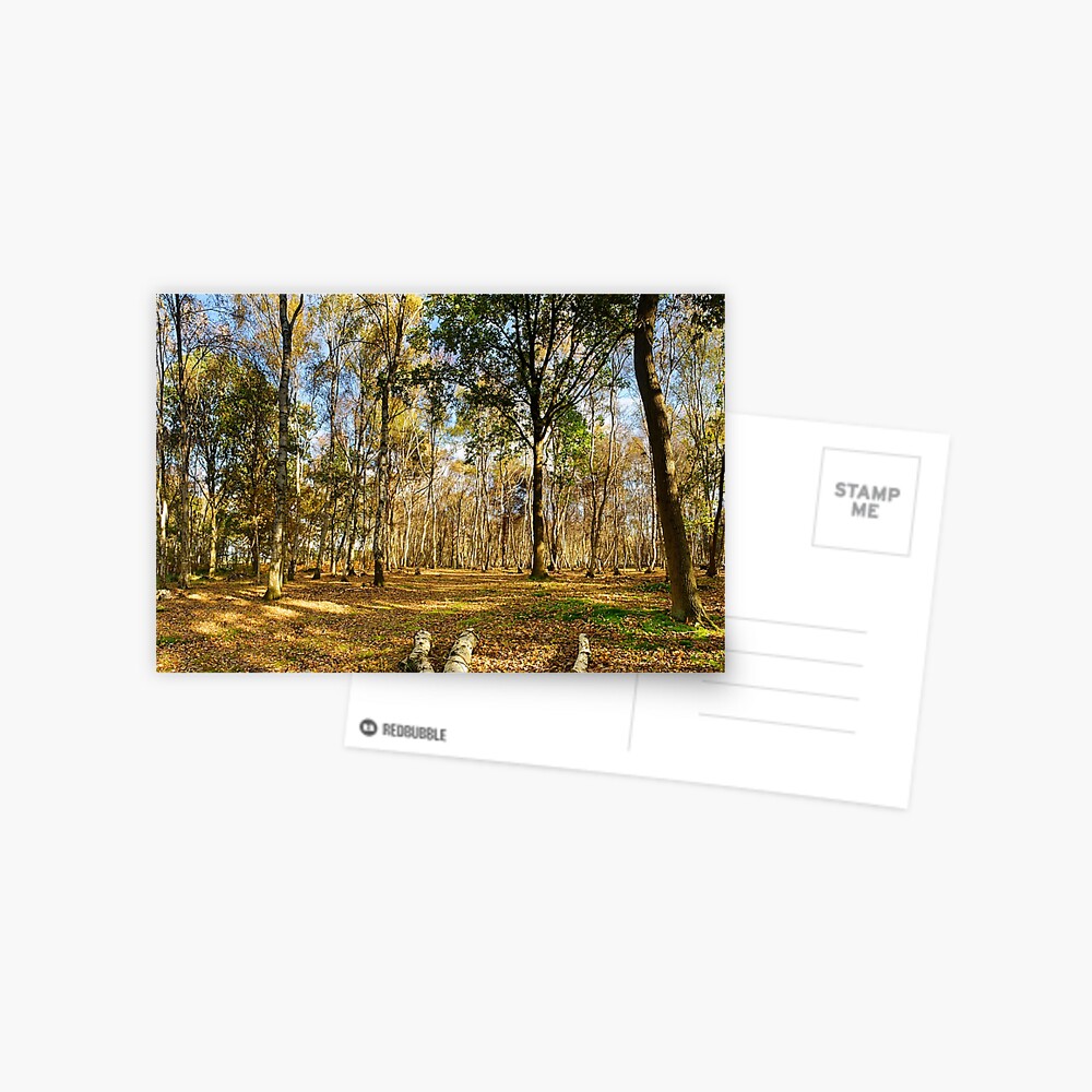 Item preview, Postcard designed and sold by sjbowen.