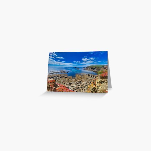 Item preview, The Lizard in Cornwall designed and sold by leonwoods.