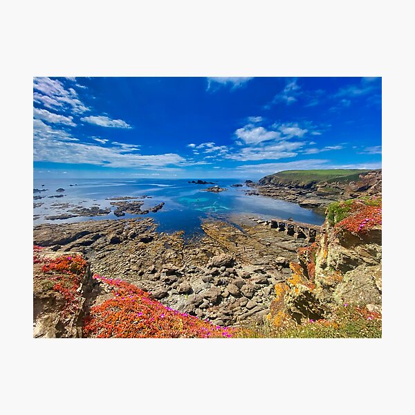 Item preview, The Lizard in Cornwall designed and sold by leonwoods.