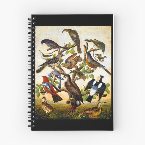 Item preview, 14 American Birds 1840 designed and sold by RocketshipRetro.
