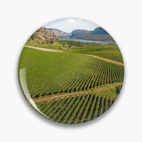 Item preview, Okanagan Valley British Columbia Winery Vineyard Landscape designed and sold by Kevin Miller Photography.