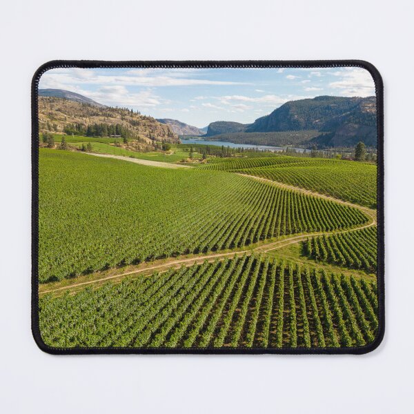 Item preview, Okanagan Valley British Columbia Winery Vineyard Landscape designed and sold by Kevin Miller Photography.