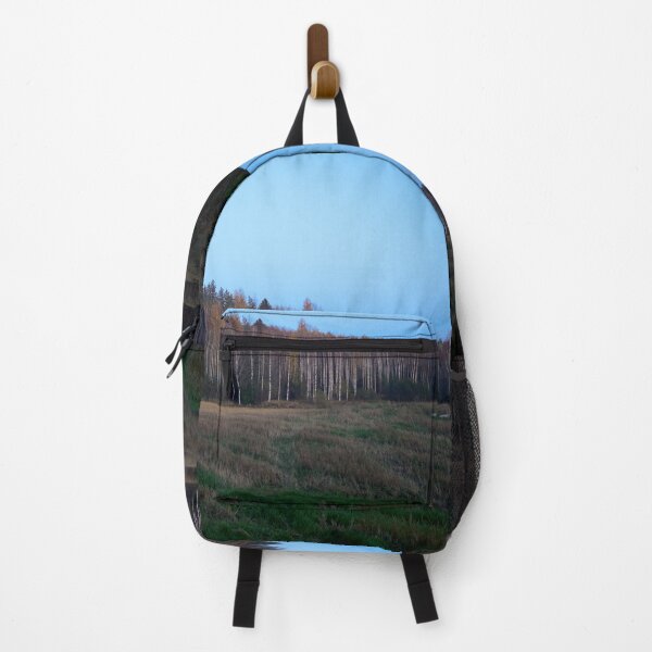 Item preview, Just before getting undressed the birches shine designed and sold by Jouko Lehto Photography.