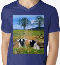 Playing Peek_A_Boo Up Glen Prosen Men's V-Neck T-Shirt