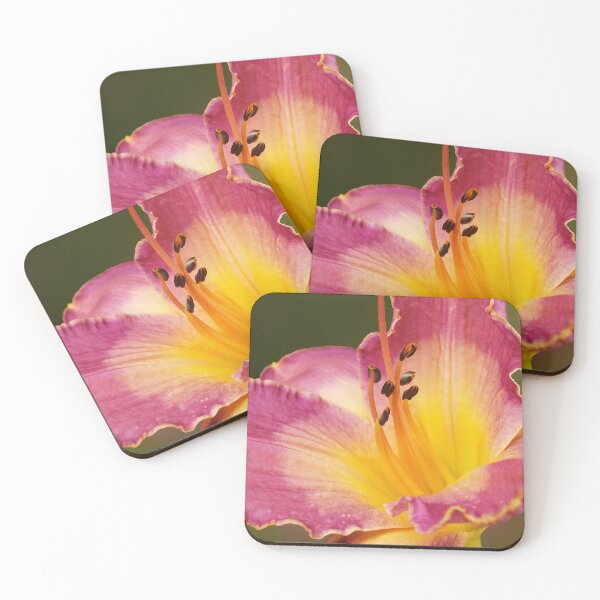Aperçu de l'œuvre Lilium bicolore créée et vendue par Kathilee.