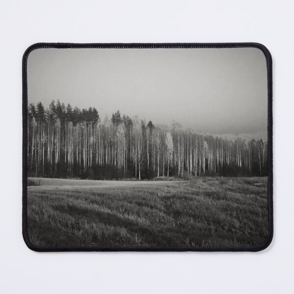 Item preview, Just before getting undressed the birches shine bw designed and sold by Jouko Lehto Photography.