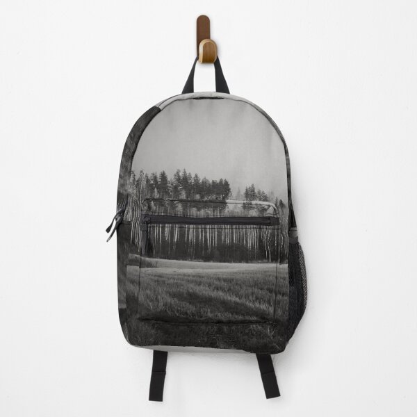 Item preview, Just before getting undressed the birches shine bw designed and sold by Jouko Lehto Photography.
