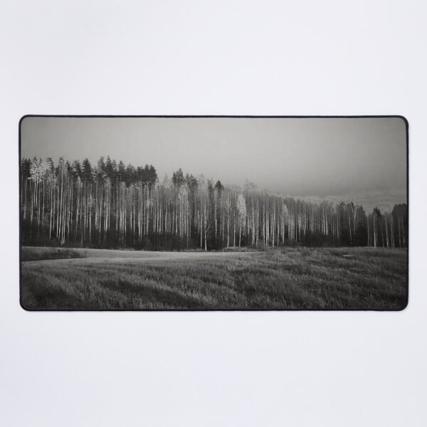 Item preview, Just before getting undressed the birches shine bw designed and sold by Jouko Lehto Photography.