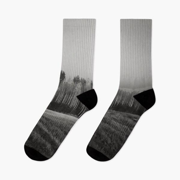 Item preview, Just before getting undressed the birches shine bw designed and sold by Jouko Lehto Photography.
