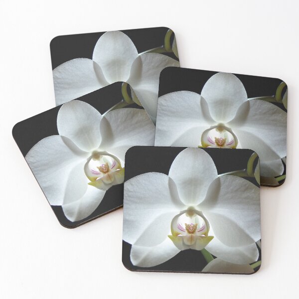 Item preview, Alluring Orchid designed and sold by Kathilee.