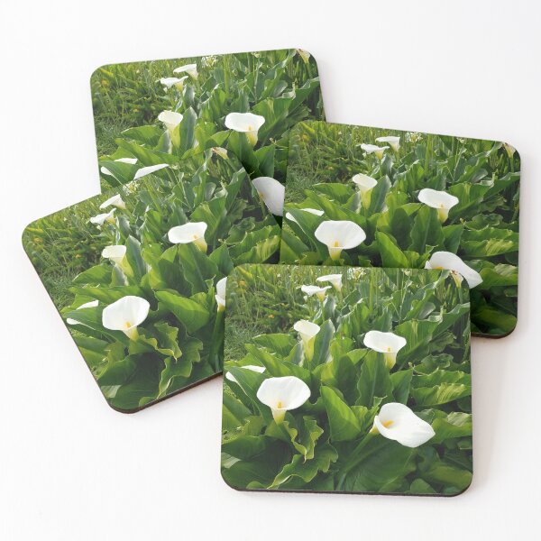 Item preview, Arum Lilies in bloom designed and sold by Blissfully-MK.