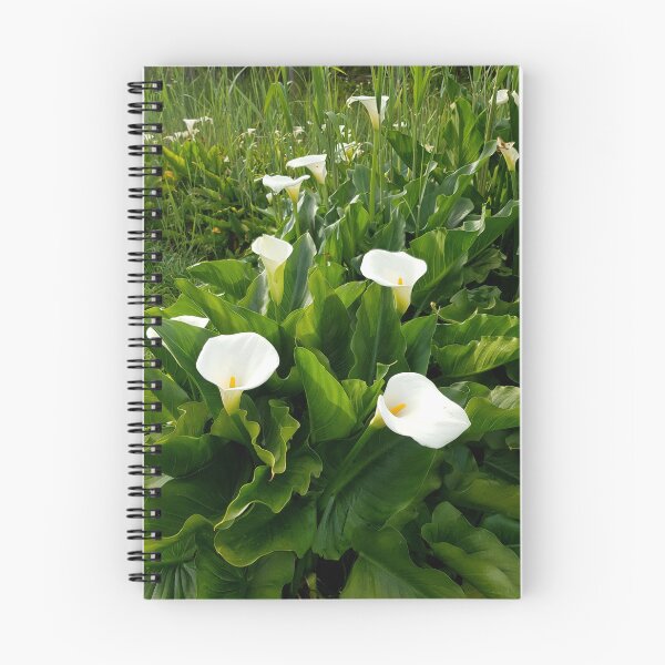 Item preview, Arum Lilies in bloom designed and sold by Blissfully-MK.