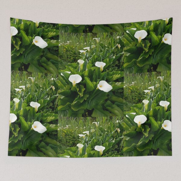 Item preview, Arum Lilies in bloom designed and sold by Blissfully-MK.