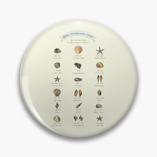 Item preview, Shell Identification Chart. designed and sold by FanitsaArt.