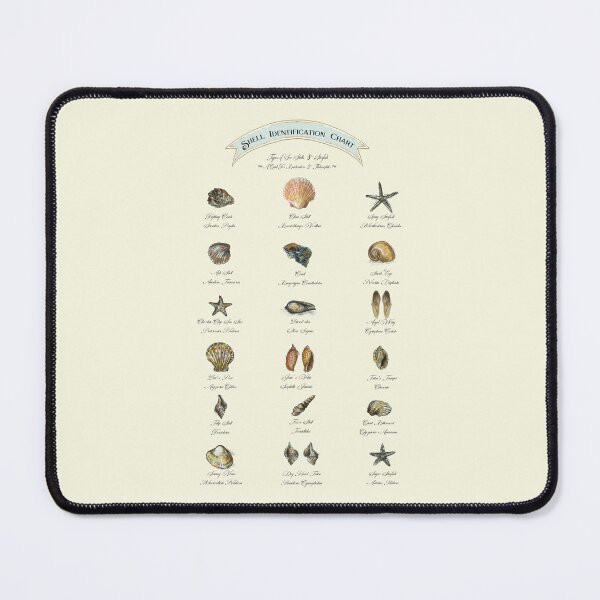 Item preview, Shell Identification Chart. designed and sold by FanitsaArt.