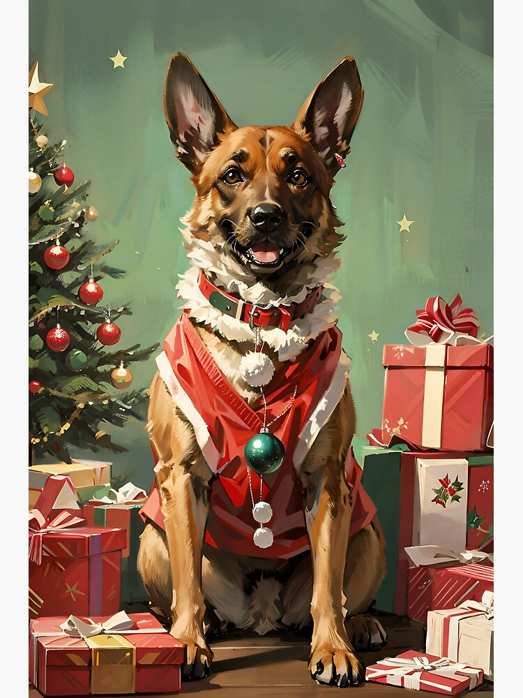 Belgian Malinois Christmas