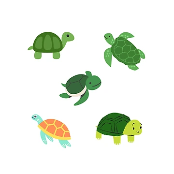 Artwork thumbnail, Turtles by Designfs