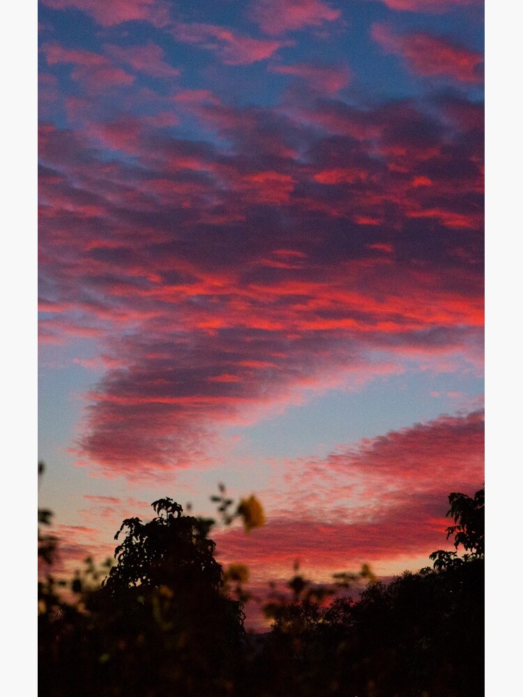 Dandenong ranges sunrise series #3 by LarryVarley