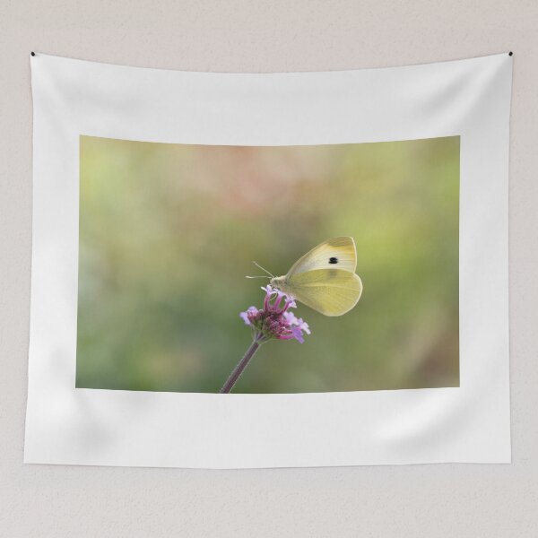 Item preview, Common brimstone designed and sold by Margriet Photography .