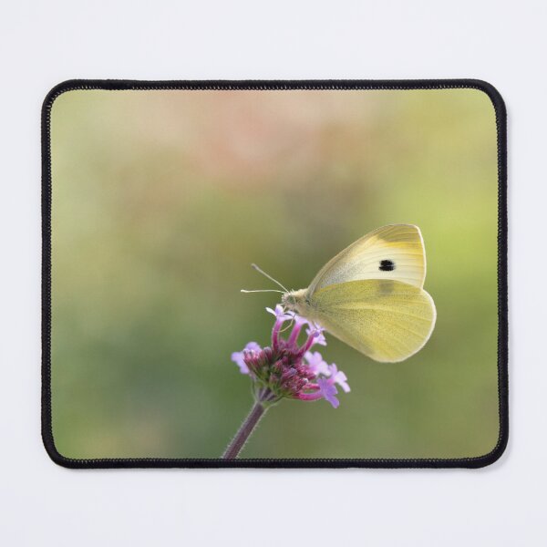Item preview, Common brimstone designed and sold by Margriet Photography .