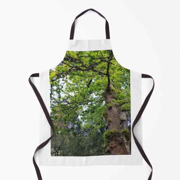 Item preview, Looking up at a Oak Tree designed and sold by Blissfully-MK.