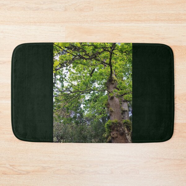 Item preview, Looking up at a Oak Tree designed and sold by Blissfully-MK.