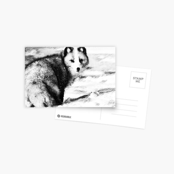 Wild Kingdom Series No. 6 Postcard
