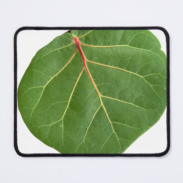 Item preview, Leaf Art designed and sold by Tinafrogger1017.