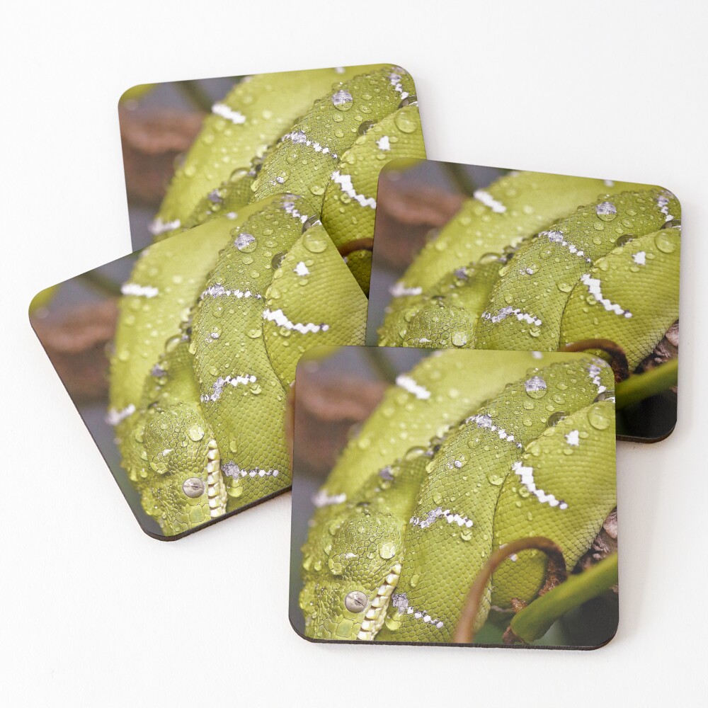 Item preview, Coasters (Set of 4) designed and sold by Mothboybrown.
