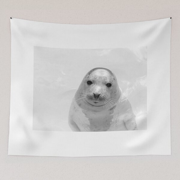Item preview, Young grey seal designed and sold by Margriet Photography .