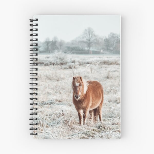 Item preview, Shetland pony designed and sold by Margriet Photography .