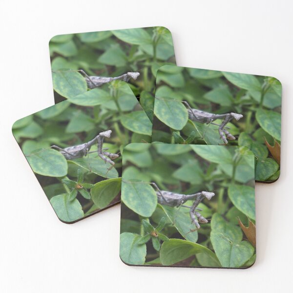 Item preview, Peaking Mantis designed and sold by TheeForestFox Shop.