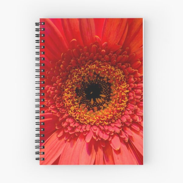 Item preview, Red Gerbera designed and sold by KRBailey.