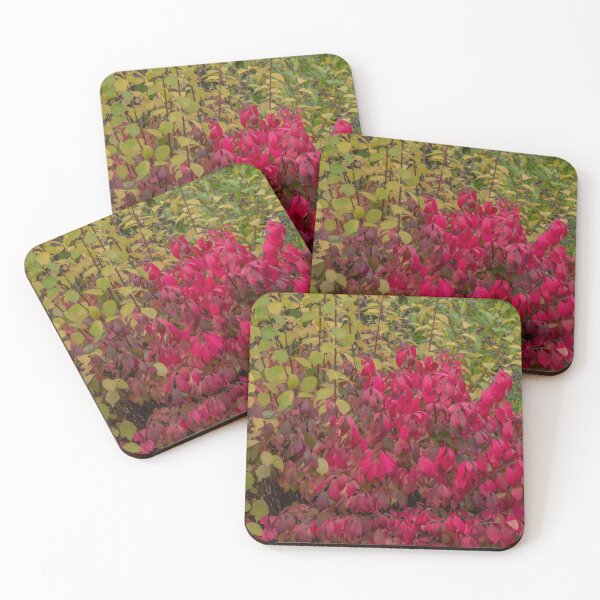 Item preview, Framed Burning Bush designed and sold by Gerda Grice Photography.