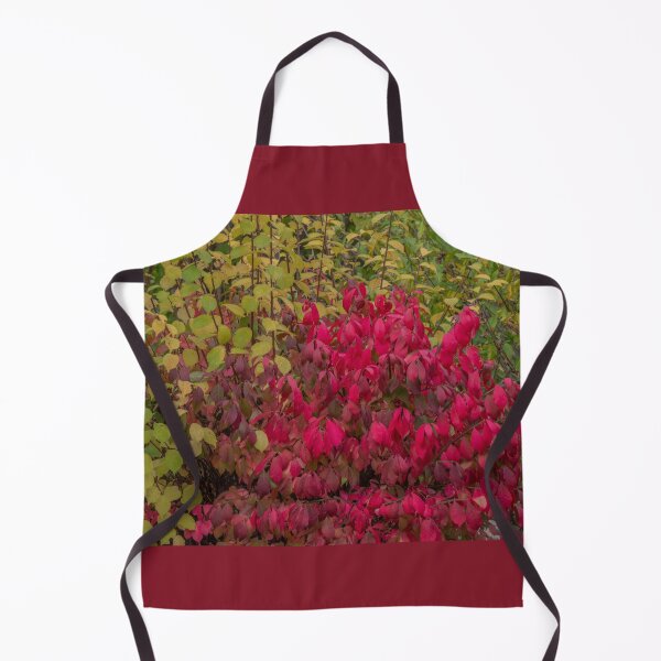 Item preview, Framed Burning Bush designed and sold by Gerda Grice Photography.