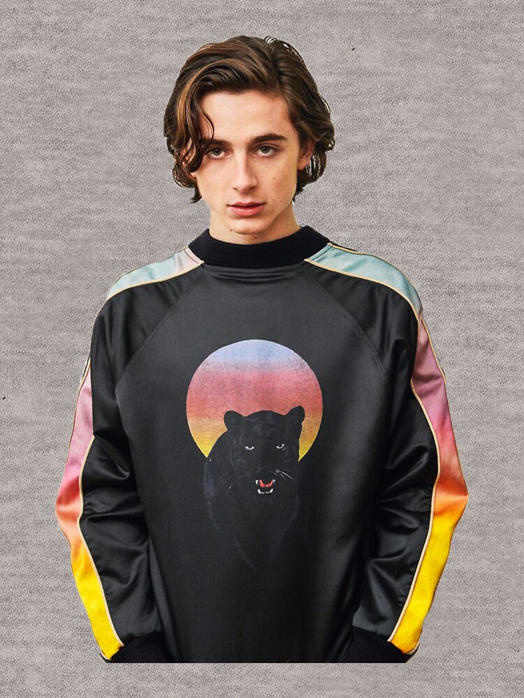 timmy chalamet glossier hoodie