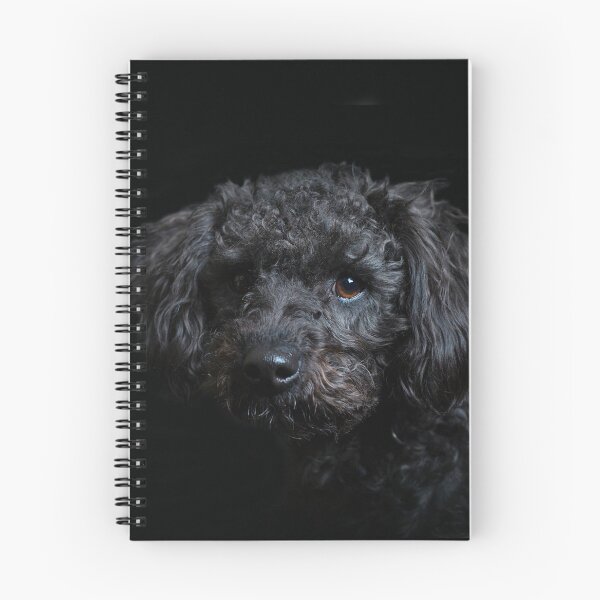 Item preview, Black Labradoodle 1 designed and sold by Shauna Kenworthy.