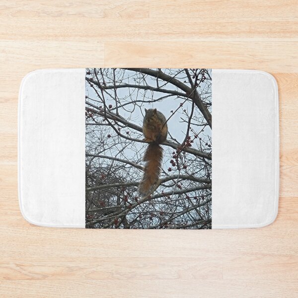 Item preview, Fox Squirrel Winter Image designed and sold by JulieBlaise.
