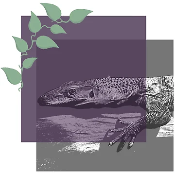 Artwork thumbnail, Ragnar Riddler Reptiles by RiddlerReptiles